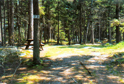Seasonal site #23