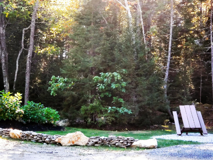 Wooded Seasonal Site 29C