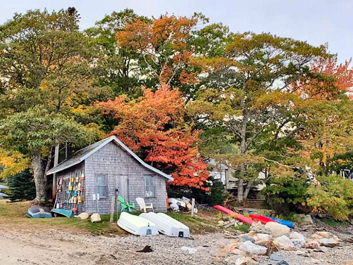 Boats, kayaks and fall foliage at Gray Homestead Campground