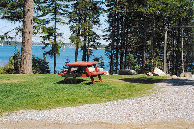 lawn and woods with ocean view