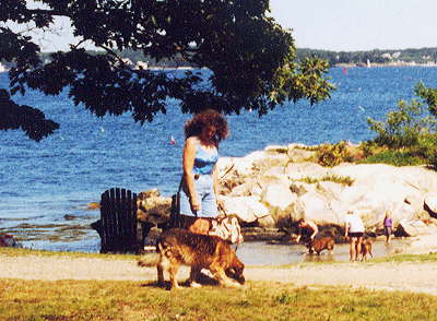 Gray Homestead oceanfront camping welcomes pets on leash