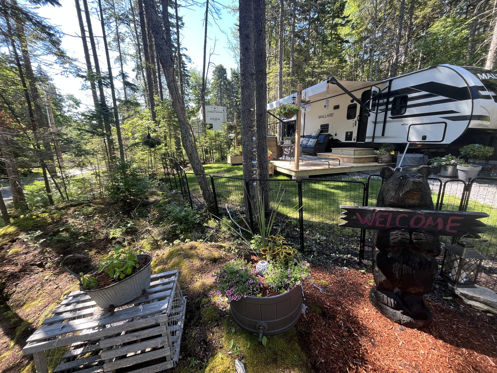 Travel trailer parked among trees with a welcoming deck