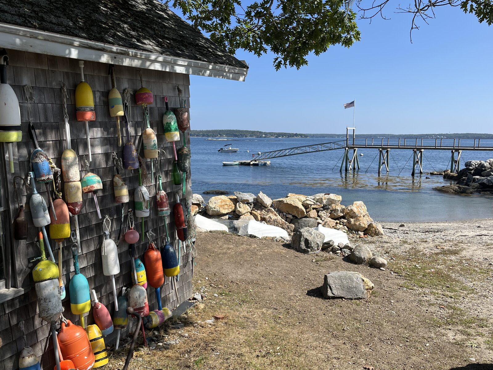 Lobster buoys hung on a shingled shed near the water
